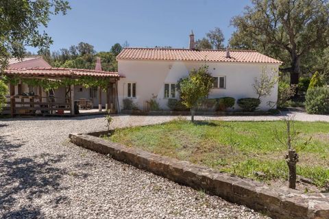 Villa i Monchique, Faro, Monchique - € 890.000 | Ref: Qt-975 - foto 14