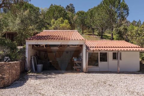 Villa i Monchique, Faro, Monchique - € 890.000 | Ref: Qt-975 - foto 17