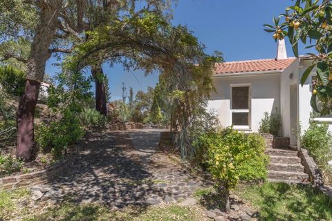Villa i Monchique, Faro, Monchique - € 890.000 | Ref: Qt-975 - foto 27