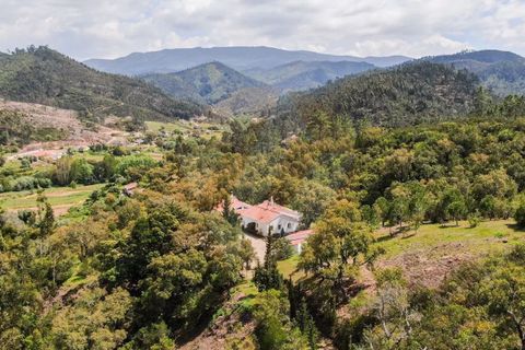 Villa i Monchique, Faro, Monchique - € 890.000 | Ref: Qt-975 - foto 38