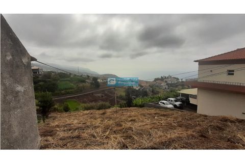 Helårsgrund i Ponta do Sol, Madeira, Ponta do Sol - € 210.000 | Ref: 1647-2 - foto 3