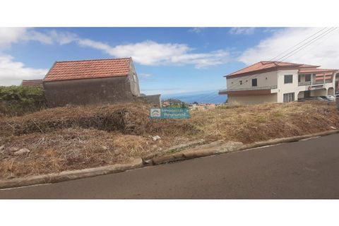 Helårsgrund i Ponta do Sol, Madeira, Ponta do Sol - € 210.000 | Ref: 1647-2 - foto 4
