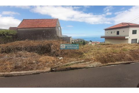 Helårsgrund i Ponta do Sol, Madeira, Ponta do Sol - € 210.000 | Ref: 1647-2 - foto 5