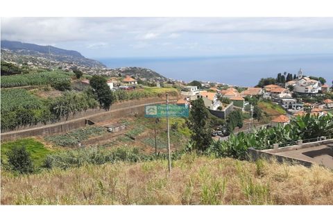 Helårsgrund i Ponta do Sol, Madeira, Ponta do Sol - € 210.000 | Ref: 1647-2 - foto 6