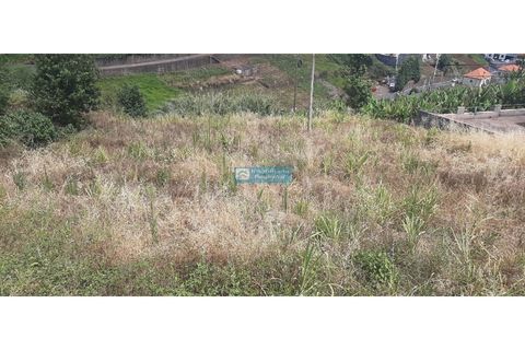 Helårsgrund i Ponta do Sol, Madeira, Ponta do Sol - € 210.000 | Ref: 1647-2 - foto 7