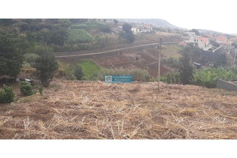 Helårsgrund i Ponta do Sol, Madeira, Ponta do Sol - € 210.000 | Ref: 1647-2 - foto 8