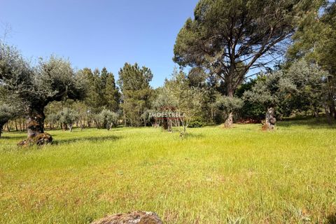 Farm i Seia, Guarda, Seia - € 30.000 | Ref: 26010 - foto 2