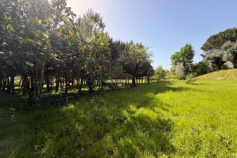 Farm i Seia, Guarda, Seia - € 30.000 | Ref: 26010 - foto 1