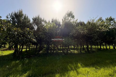 Farm i Seia, Guarda, Seia - € 30.000 | Ref: 26010 - foto 3