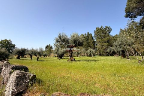 Farm i Seia, Guarda, Seia - € 30.000 | Ref: 26010 - foto 5