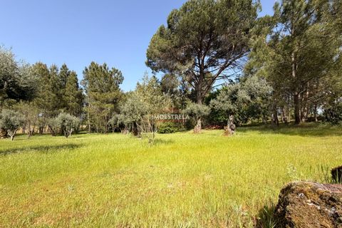 Farm i Seia, Guarda, Seia - € 30.000 | Ref: 26010 - foto 7