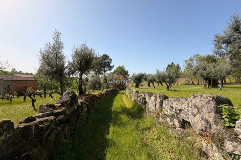 Farm i Seia, Guarda, Seia - € 30.000 | Ref: 26010 - foto 8