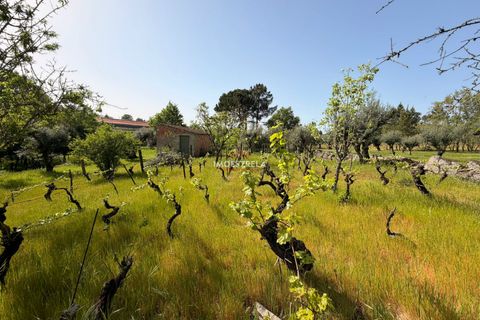 Farm i Seia, Guarda, Seia - € 30.000 | Ref: 26010 - foto 9