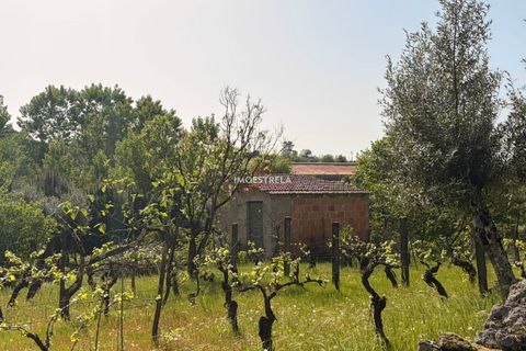 Farm i Seia, Guarda, Seia - € 30.000 | Ref: 26010 - foto 10