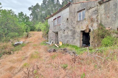 Farm i Braga, Braga, Braga - € 249.000 | Ref: 013-4343 - foto 2