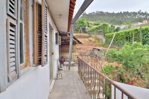 Farm i Braga, Braga, Braga - € 249.000 | Ref: 013-4343 - foto 5