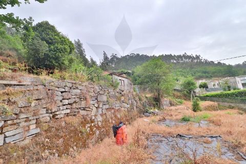 Farm i Braga, Braga, Braga - € 249.000 | Ref: 013-4343 - foto 6