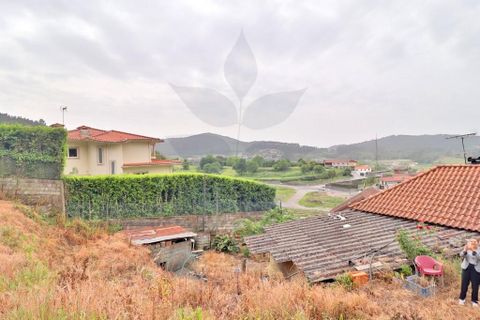 Farm i Braga, Braga, Braga - € 249.000 | Ref: 013-4343 - foto 7