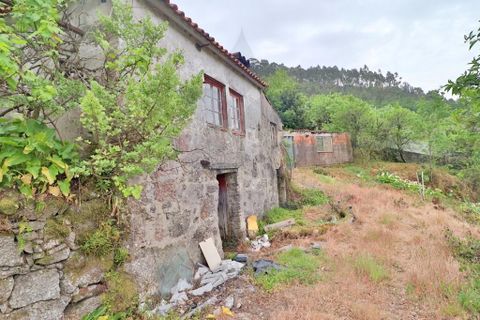 Farm i Braga, Braga, Braga - € 249.000 | Ref: 013-4343 - foto 8