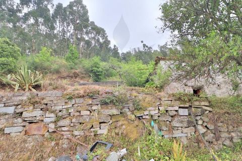 Farm i Braga, Braga, Braga - € 249.000 | Ref: 013-4343 - foto 9