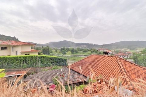Farm i Braga, Braga, Braga - € 249.000 | Ref: 013-4343 - foto 10