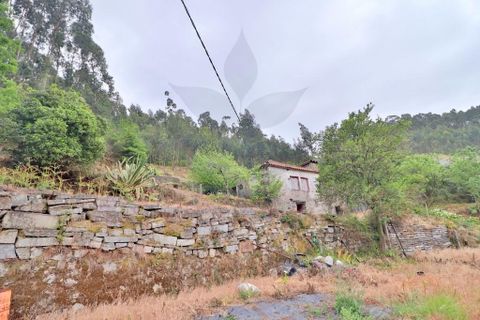 Farm i Braga, Braga, Braga - € 249.000 | Ref: 013-4343 - foto 11
