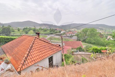 Farm i Braga, Braga, Braga - € 249.000 | Ref: 013-4343 - foto 15