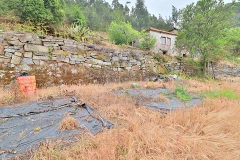 Farm i Braga, Braga, Braga - € 249.000 | Ref: 013-4343 - foto 16