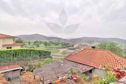 Farm i Braga, Braga, Braga - € 249.000 | Ref: 013-4343 - foto 19