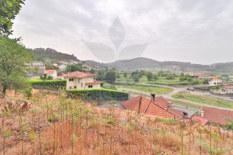 Farm i Braga, Braga, Braga - € 249.000 | Ref: 013-4343 - foto 20