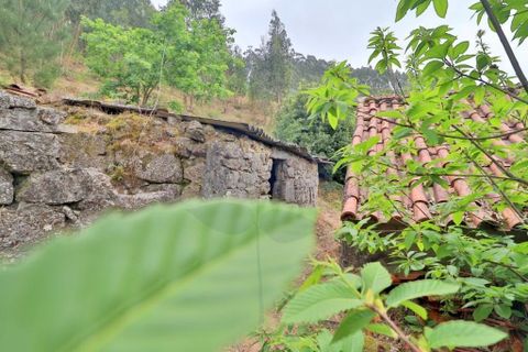 Farm i Braga, Braga, Braga - € 249.000 | Ref: 013-4343 - foto 21