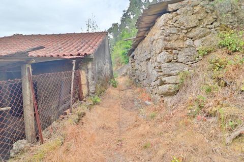 Farm i Braga, Braga, Braga - € 249.000 | Ref: 013-4343 - foto 24