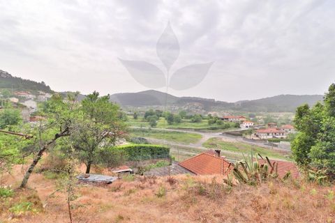 Farm i Braga, Braga, Braga - € 249.000 | Ref: 013-4343 - foto 25