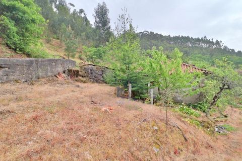 Farm i Braga, Braga, Braga - € 249.000 | Ref: 013-4343 - foto 26