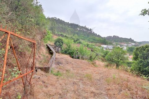 Farm i Braga, Braga, Braga - € 249.000 | Ref: 013-4343 - foto 27