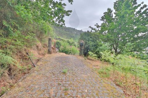 Farm i Braga, Braga, Braga - € 249.000 | Ref: 013-4343 - foto 28