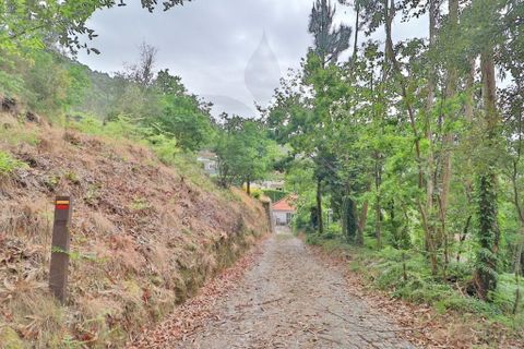 Farm i Braga, Braga, Braga - € 249.000 | Ref: 013-4343 - foto 29