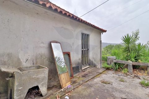 Farm i Braga, Braga, Braga - € 249.000 | Ref: 013-4343 - foto 30