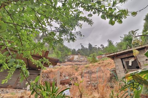Farm i Braga, Braga, Braga - € 249.000 | Ref: 013-4343 - foto 32