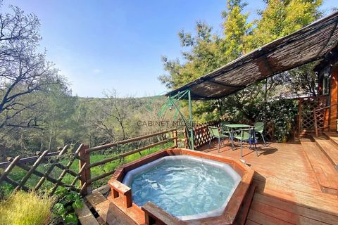 Træhytte i Valbonne, Alpes-Maritimes, Valbonne - € 255.000 | Ref: 84546286 - foto 1