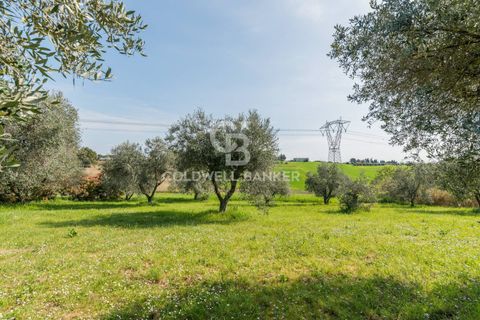 Villa i Misano Adriatico, Rimini, Misano Adriatico - € 530.000 | Ref: CBI099-1528-520841 - foto 5