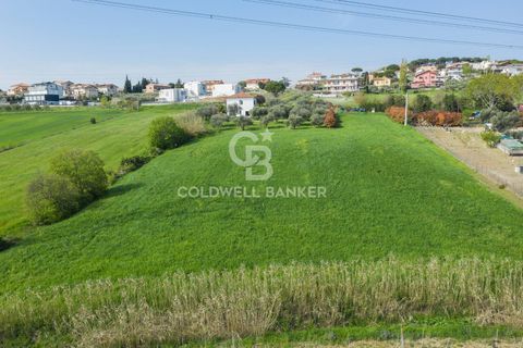 Villa i Misano Adriatico, Rimini, Misano Adriatico - € 530.000 | Ref: CBI099-1528-520841 - foto 6