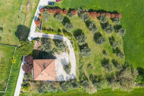 Villa i Misano Adriatico, Rimini, Misano Adriatico - € 530.000 | Ref: CBI099-1528-520841 - foto 17