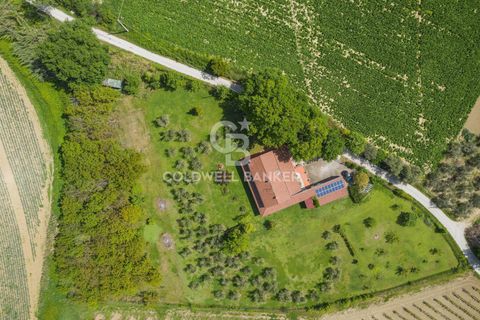 Villa a San Clemente, Rimini, San Clemente - € 780.000 | Ref: CBI099-1528-520844 - foto 4