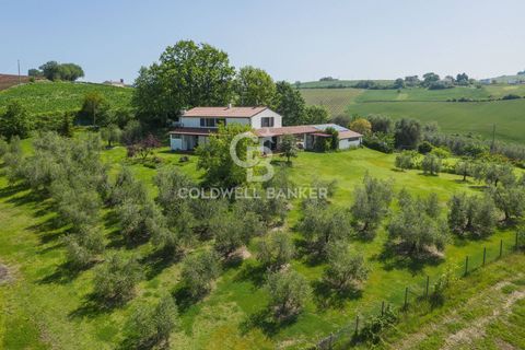 Villa a San Clemente, Rimini, San Clemente - € 780.000 | Ref: CBI099-1528-520844 - foto 8