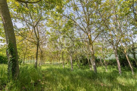 Villa a San Clemente, Rimini, San Clemente - € 780.000 | Ref: CBI099-1528-520844 - foto 11