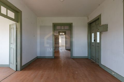 Villa a Esmoriz, Aveiro, Esmoriz - € 220.000 | Ref: CAS_642 - foto 4