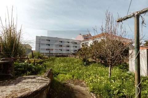 Villa a Esmoriz, Aveiro, Esmoriz - € 220.000 | Ref: CAS_642 - foto 23
