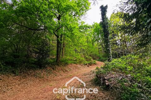 Villa i Beaubery, Saone-et-Loire, Beaubery - € 99.000 | Ref: 340931527684 - foto 16
