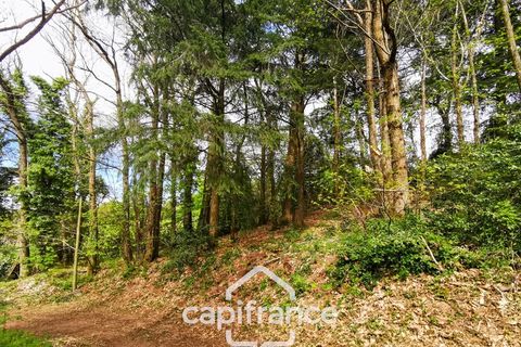Villa i Beaubery, Saone-et-Loire, Beaubery - € 99.000 | Ref: 340931527684 - foto 25